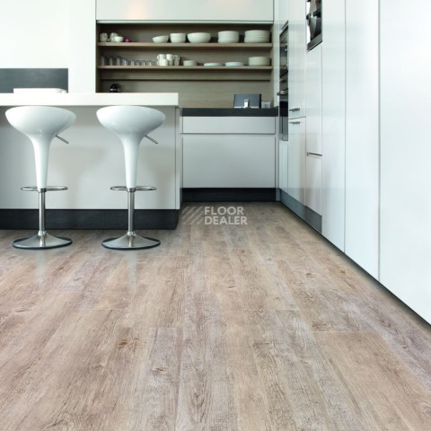 IVC Ultimo (Сlick) IVC Ultimo 24243N фото 8 | FLOORDEALER